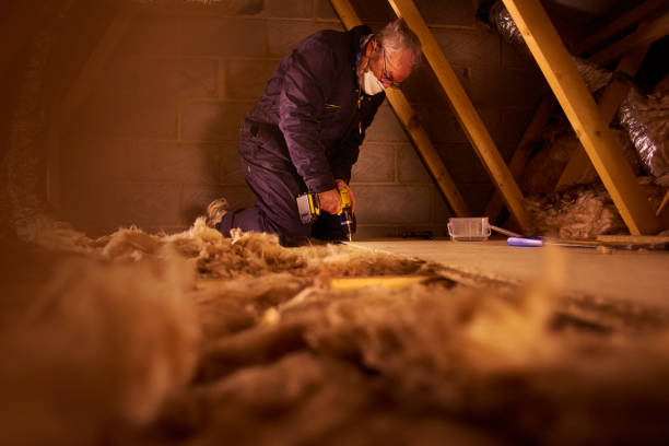 Best Insulation Maintenance and Repair in Churchill, MT